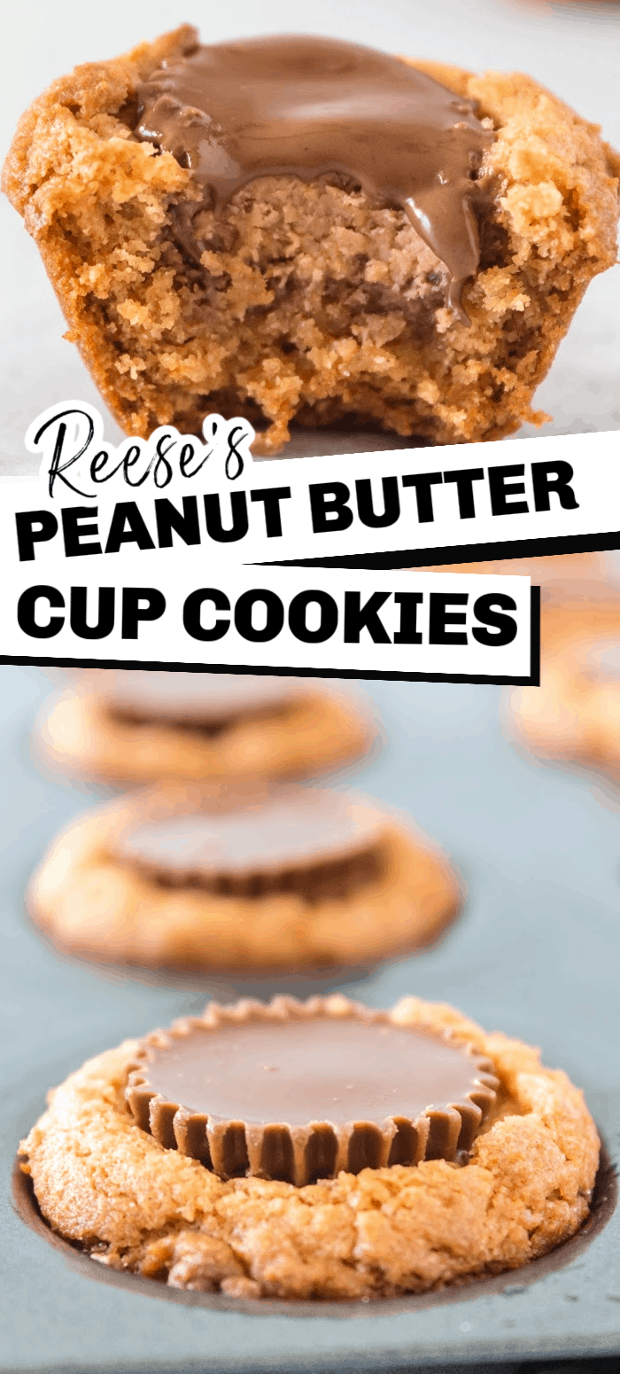 These simple Reese's peanut butter cup cookies are peanut butter cookies baked in mini-muffin tins with a peanut butter cup pushed into the center right as they come out of the oven. This is an easy to make cookie everyone will love. 