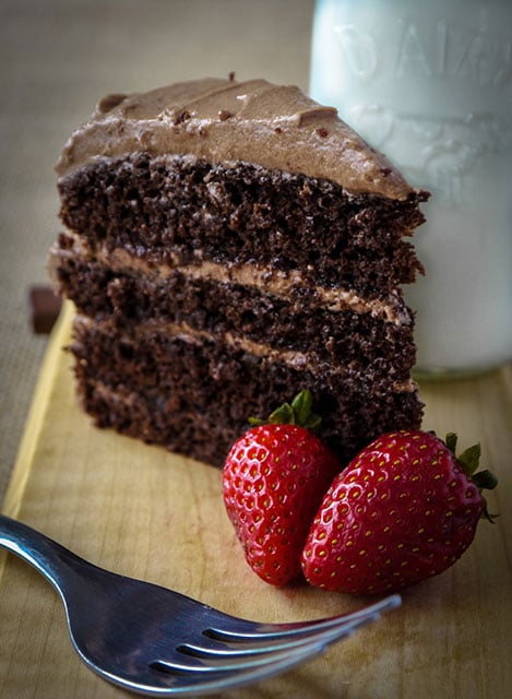 slick of dark chocolate cake with mocha frosting