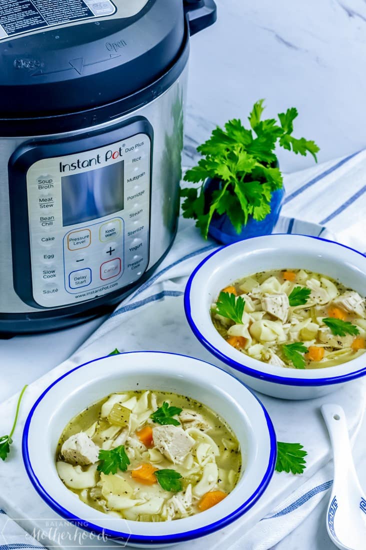 instant pot with bowl of chicken noodle soup