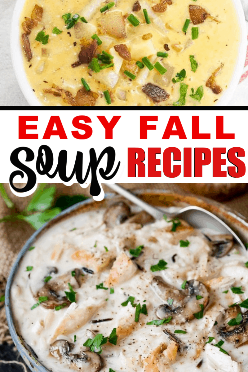10 easy and delicious fall soup recipes! Chowders, soups, and stews! Click and save now so you'll have them later.