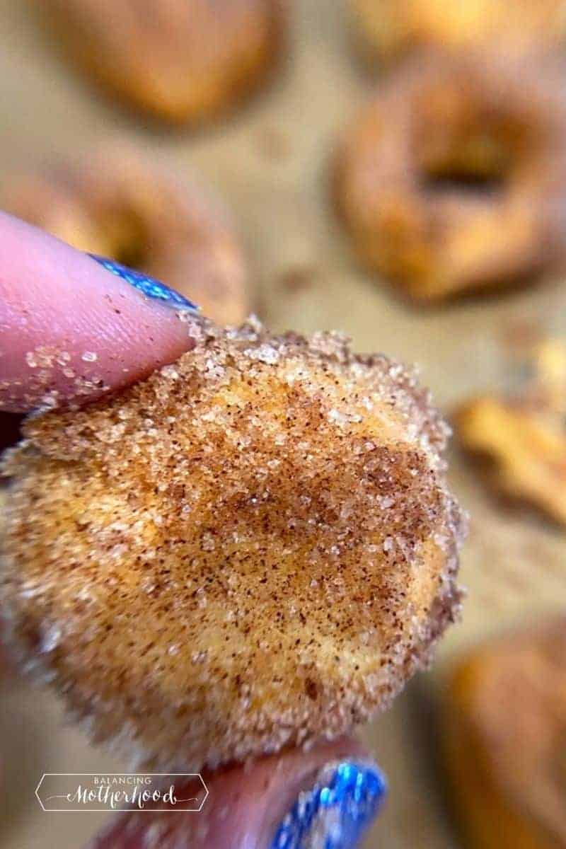 cinnamon sugar donut hole close up