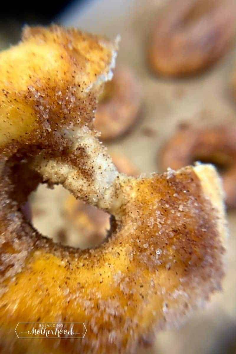 Close up of a cinnamon sugar donut with a bite taken out