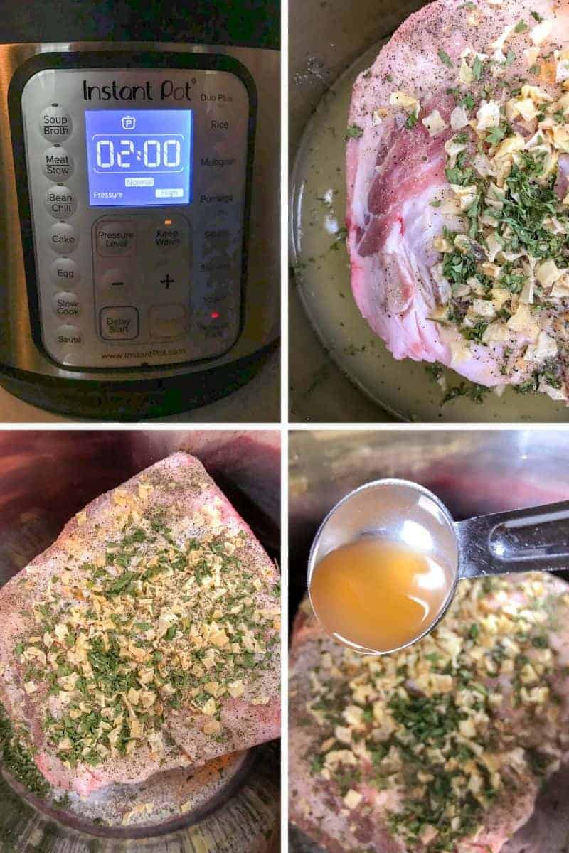 pork butt in instant pot with seasonings