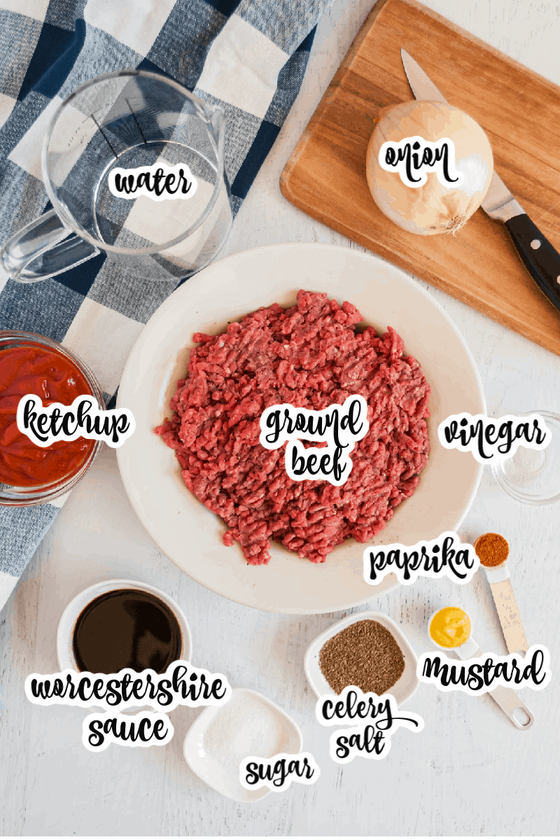 sloppy joe ingredients laid out on table