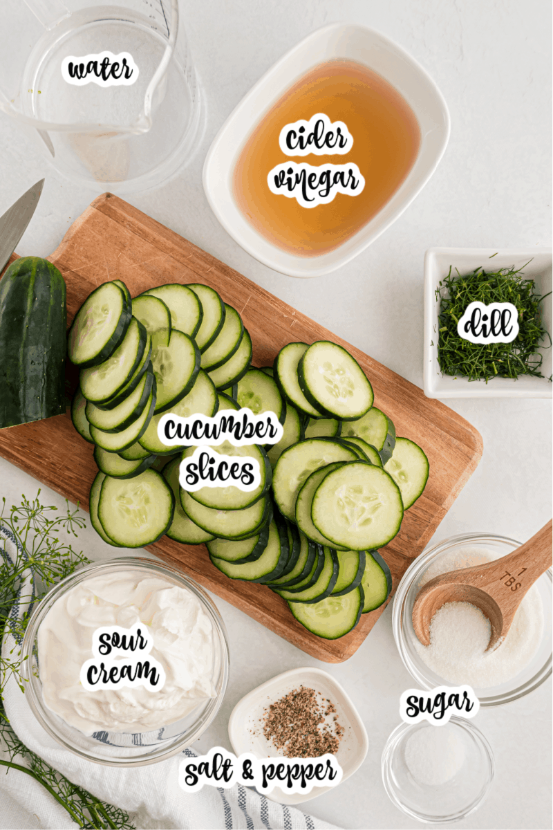 water, vinegar, dill, cucumber slices, sour cream, salt and pepper, and sugar on table