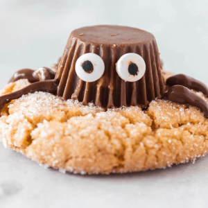 chocolate spider on cookie