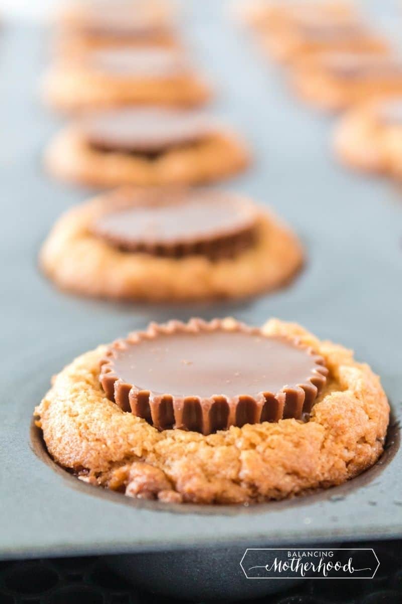 peanut butter cup pressed into peanut butter cookie in muffin tin