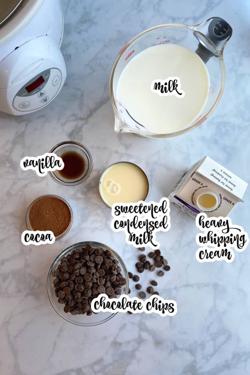 hot chocolate ingredients: cocoa, chocolate chips, vanilla, milk, sweetened condensed milk, heavy whipping cream