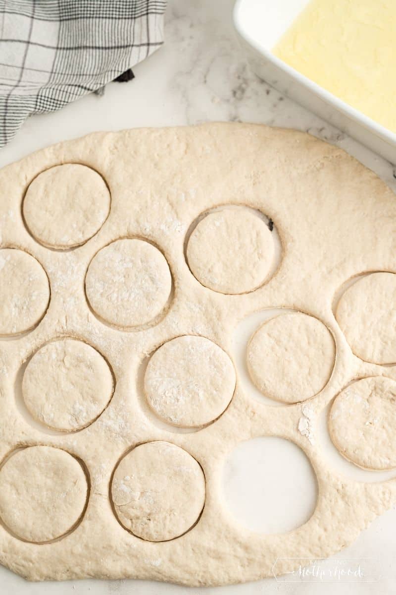 rolled biscuit dough with circles cut out