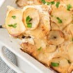 scalloped potatoes on serving spoon
