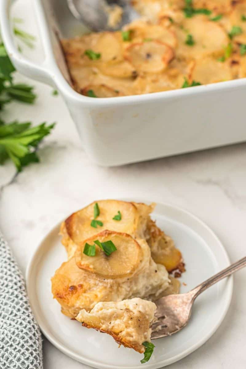 scalloped potatoes on white plate with fork