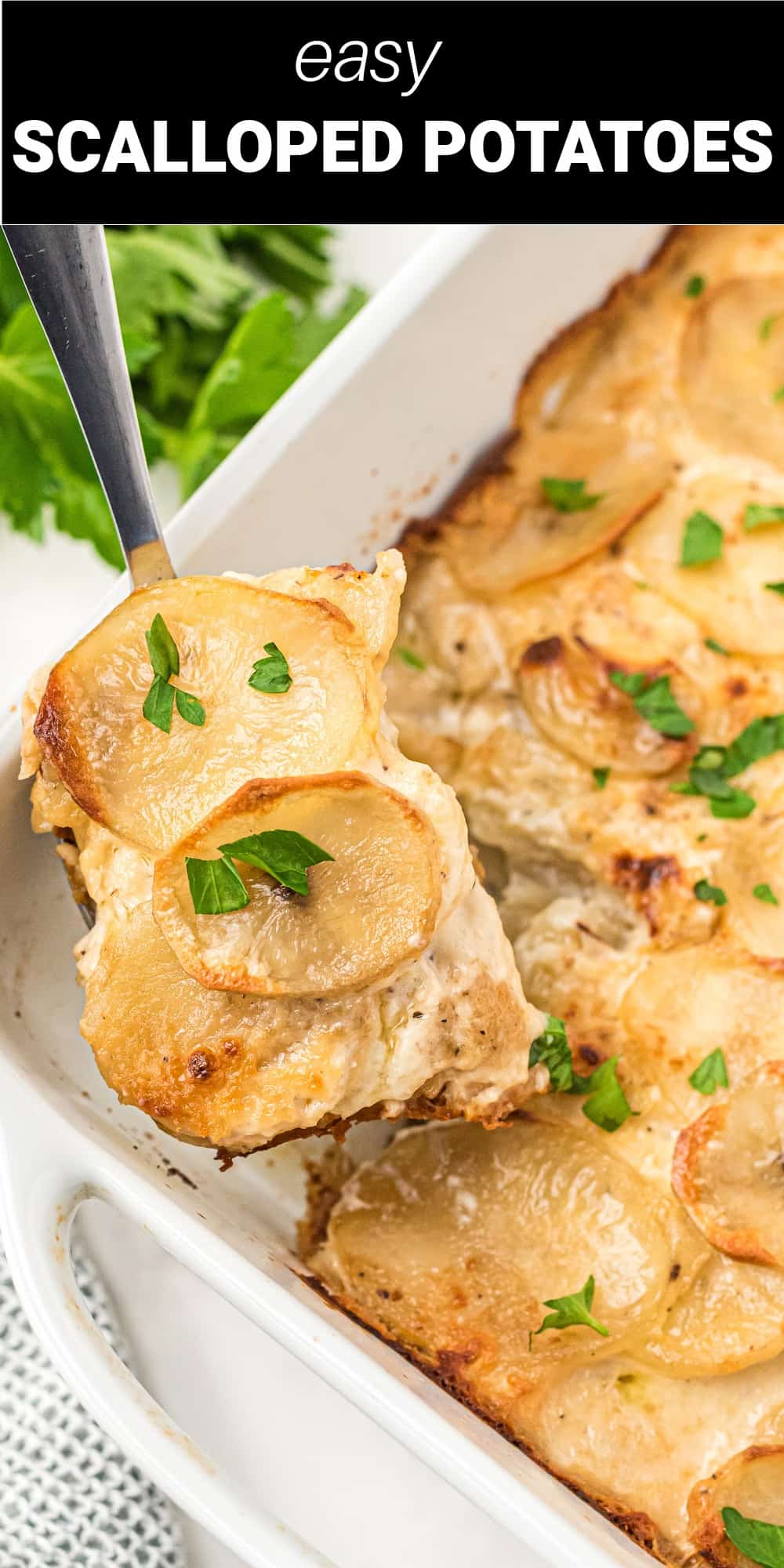 Our Scalloped Potatoes recipe is the perfect side dish for just about every kind of meal. Made using heavy cream, onions, and potatoes make this a creamy potato side dish perfect for a holiday or weeknight meal.
