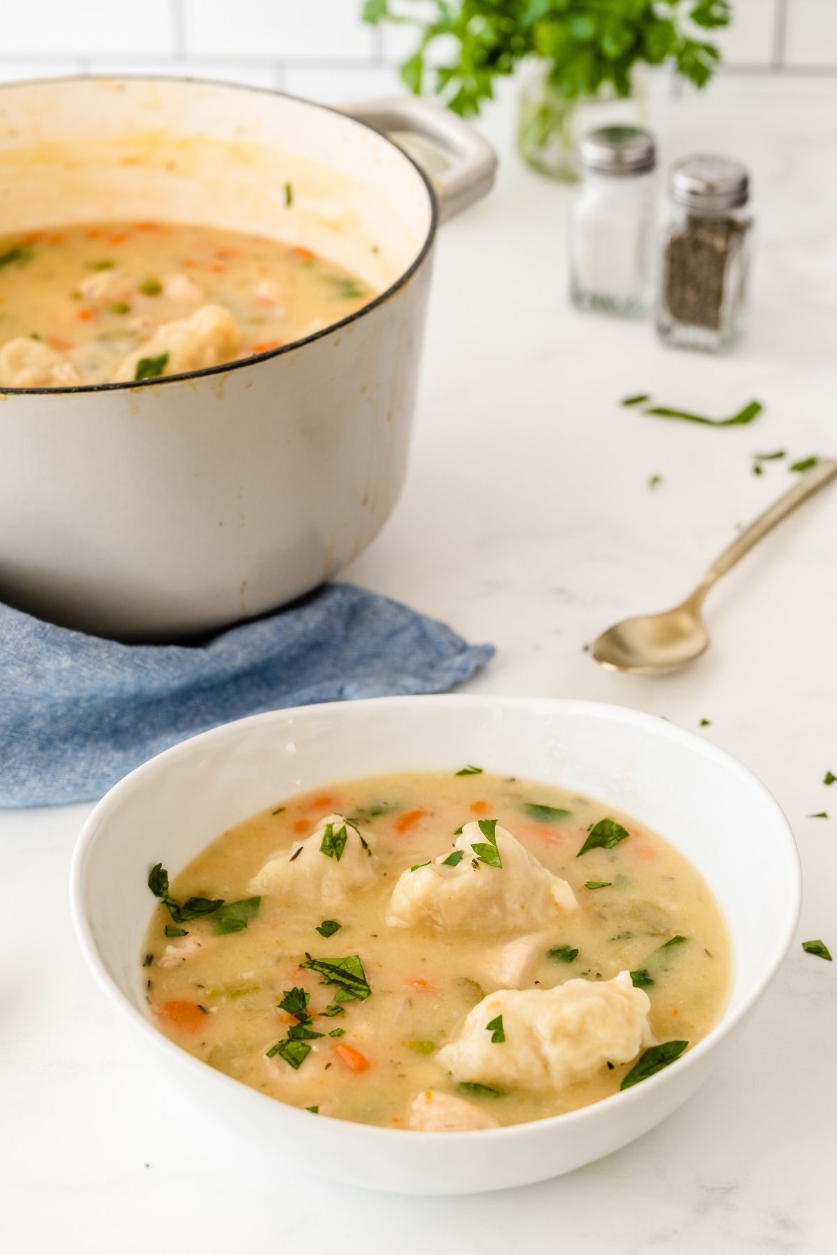 white bowl with chicken and dumplings with pieces of parsley on top