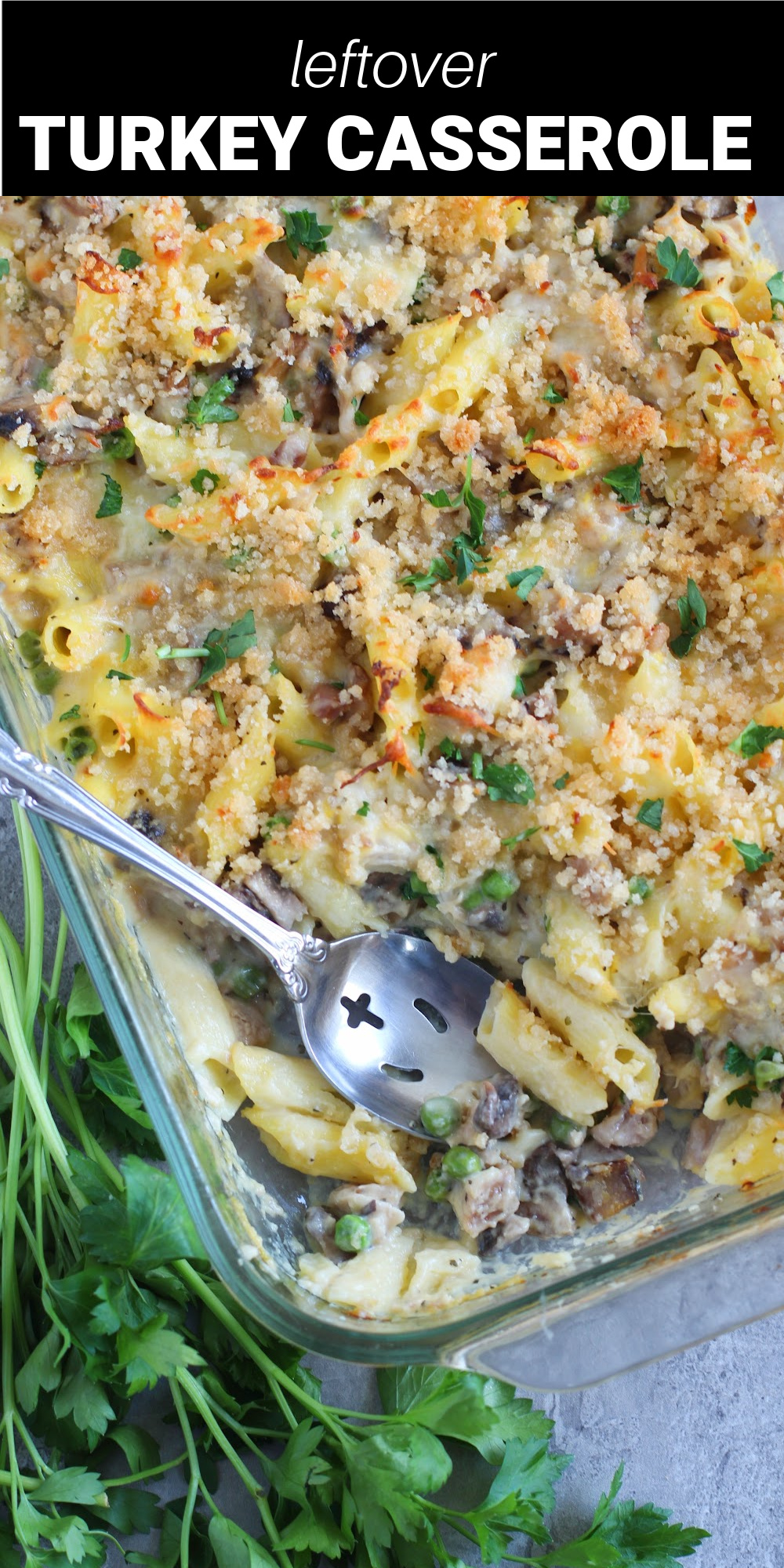 This recipe for warm and cheesy Leftover Turkey Casserole is made using leftover turkey and a few pantry staples to create a fast, easy and absolutely scrumptious dish the whole family will love.