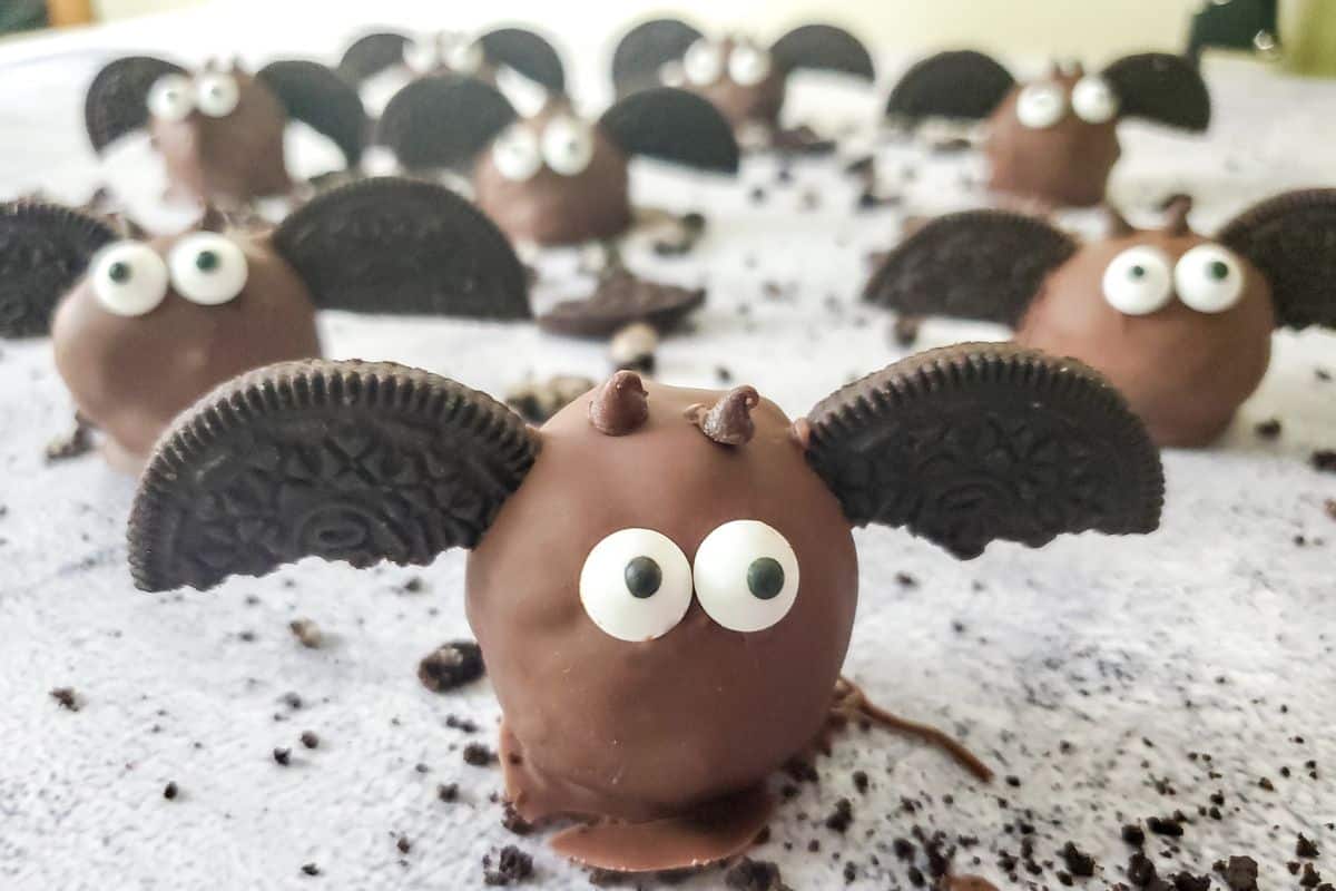 round chocolate truffle ball with Oreo wings and candy eyes