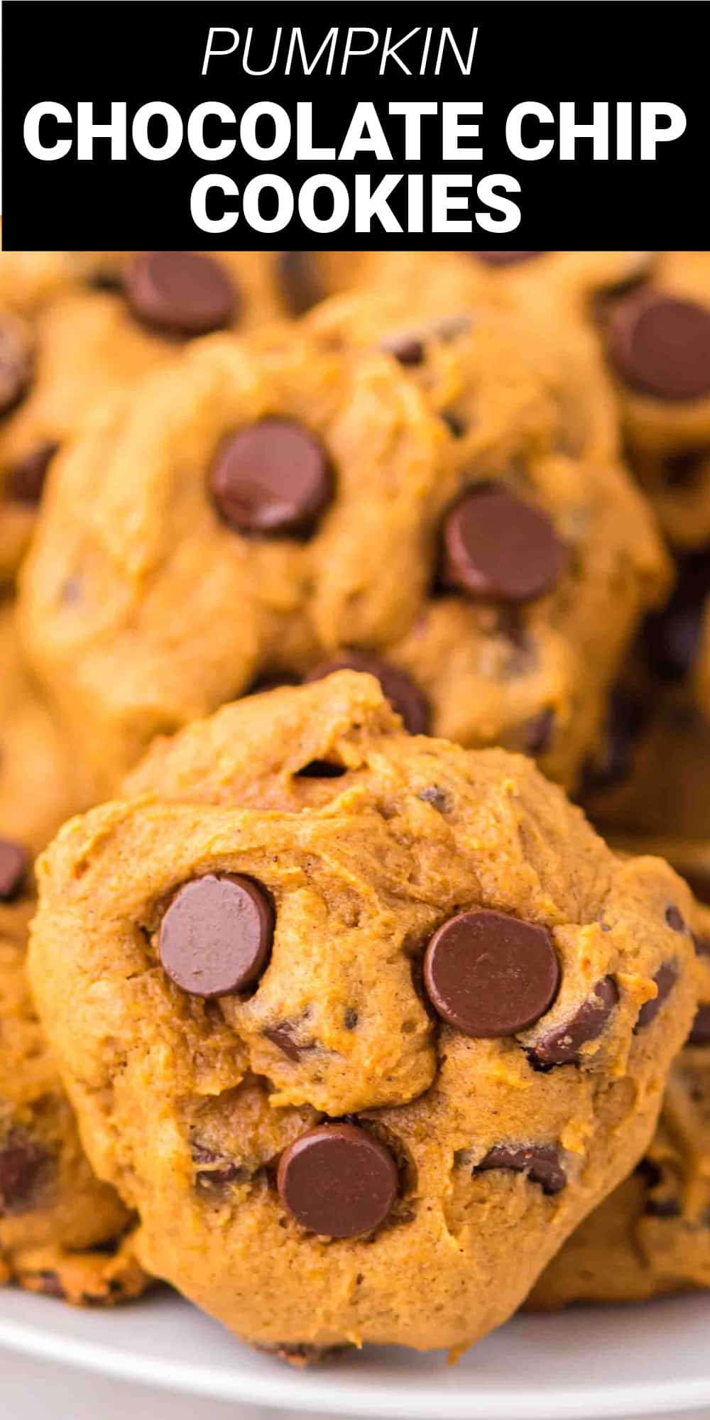If you’re looking for the very best Pumpkin Chocolate Chip Cookies, look no further! These cookies so are soft, delightfully chewy, full of amazing pumpkin flavor and melted chocolate chips. They're absolutely the perfect pumpkin treats for all your fall gatherings!