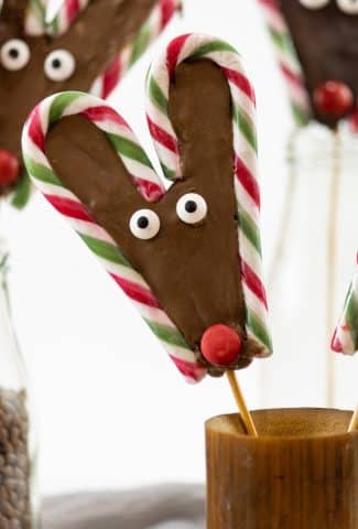 A closer look on Candy Cane Reindeer