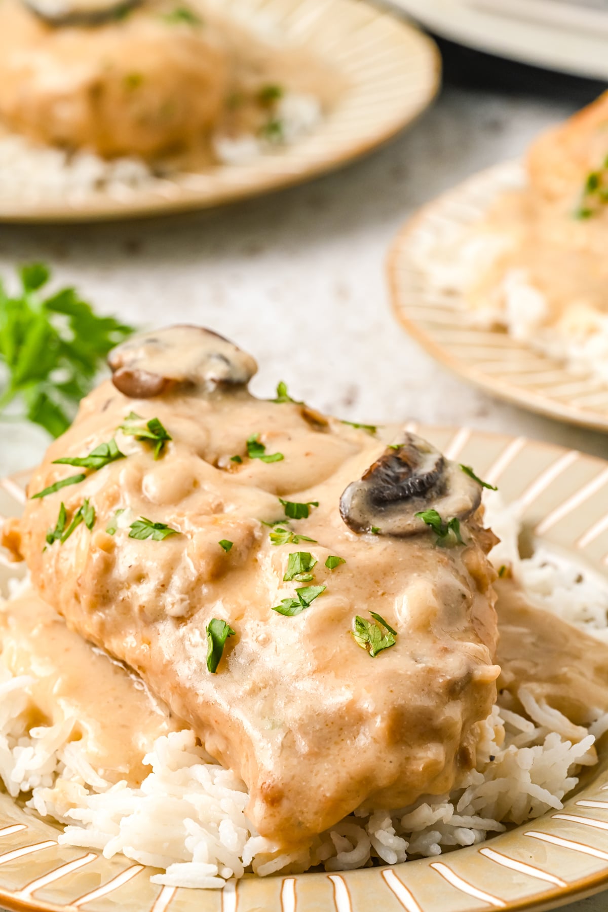 Rice on a plate with chicken marsala on top