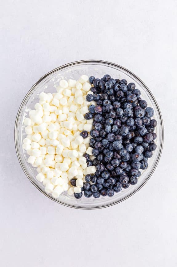 mini marshmallows and blueberries in bowl next to one another