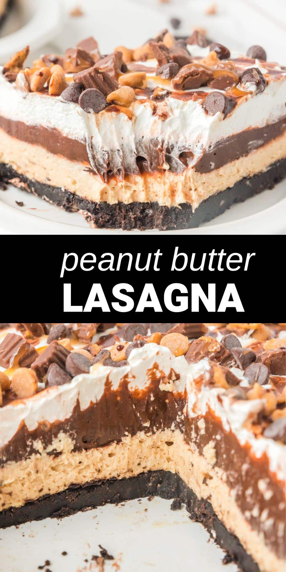 This Peanut Butter Lasagna is an easy 4-layer dessert that'll have peanut butter fans rejoicing! A chocolate cookie crust is piled up with a decadent cream cheese and peanut butter filling, a rich chocolate pudding layer, and topped with whipped cream and sweet garnishes, for one dessert you’ll never forget. 