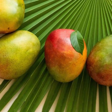 five different colored mangoes on a palm branch
