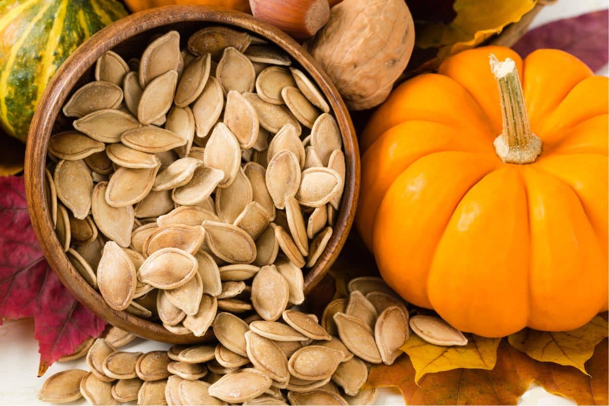 A bowl of saved pumpkin seeds, surrounded by leaves and pumpkins, awaits their use in a delicious meal.