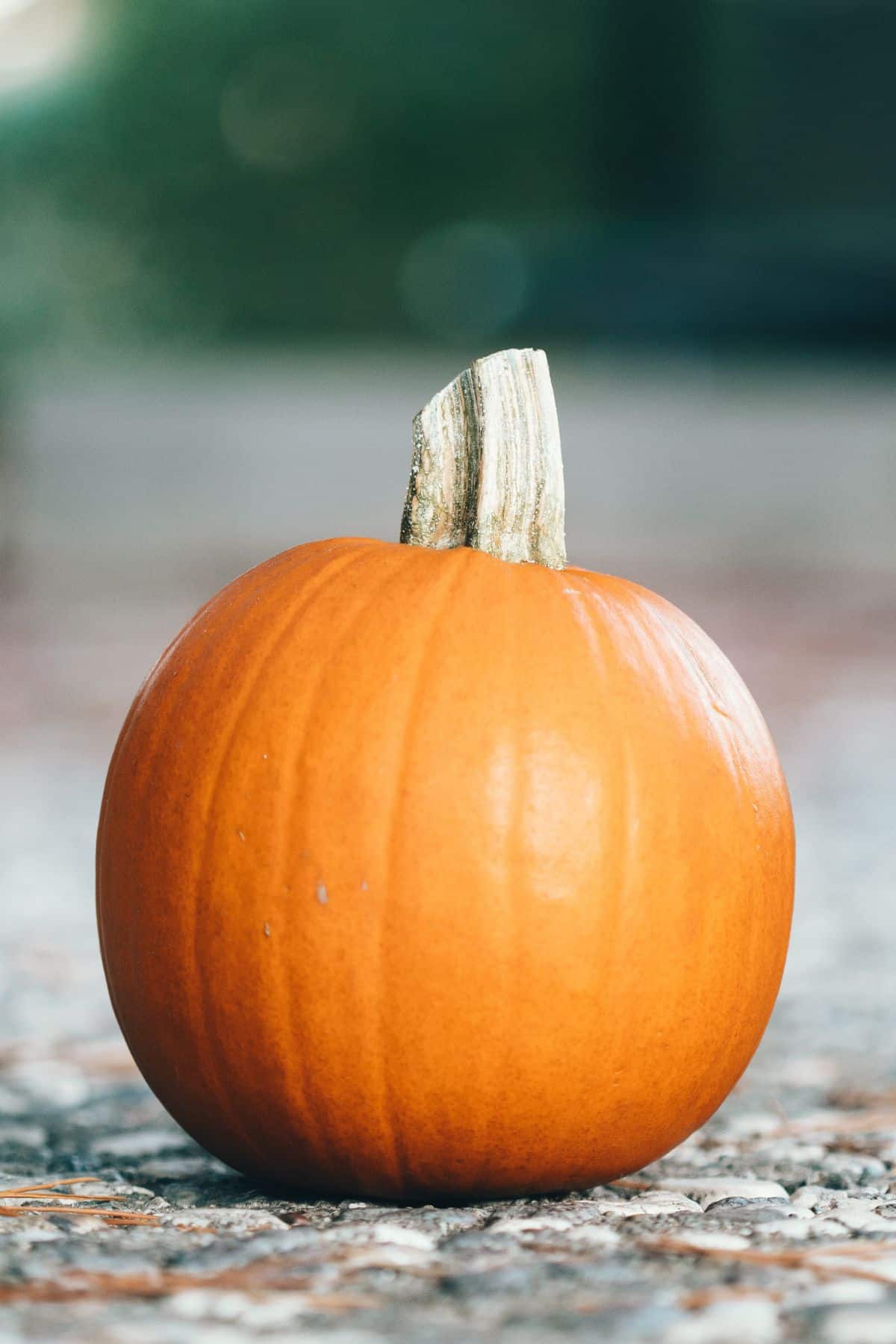 A small pumpkin sits on a concrete surface, indicating its ripeness.