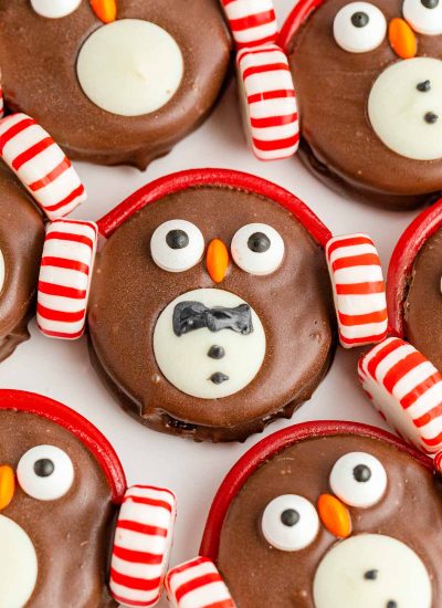 Chocolate owl cookies with candy canes and candy canes.