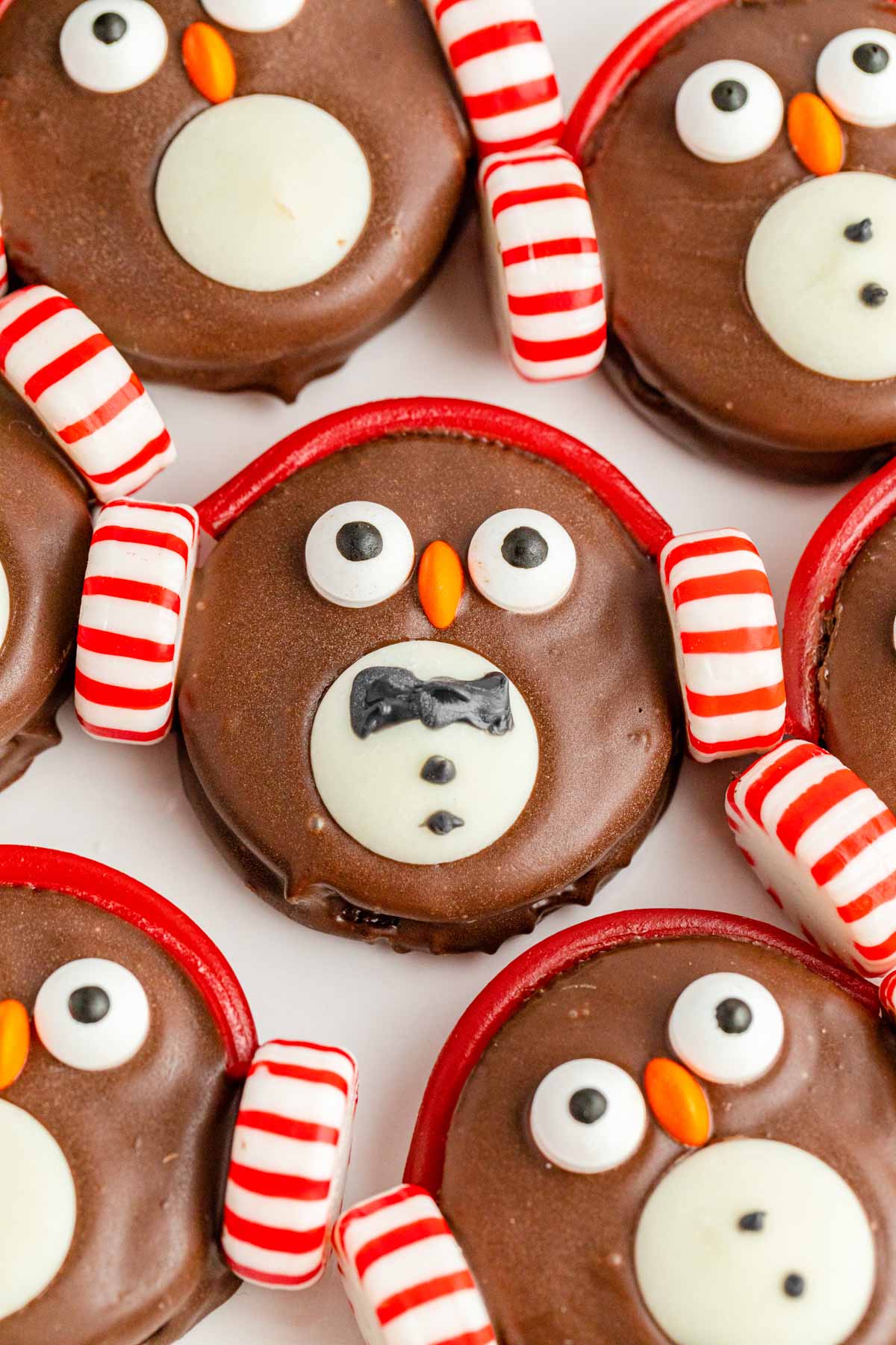 Chocolate owl cookies with candy canes and candy canes.