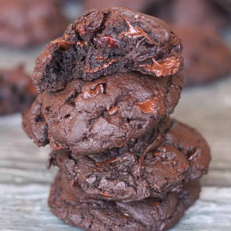 A stack of chocolate cookies with a bite taken out.