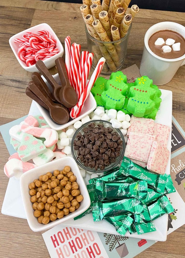 A christmas candy tray with marshmallows, candy canes, and a cup of hot cocoa.