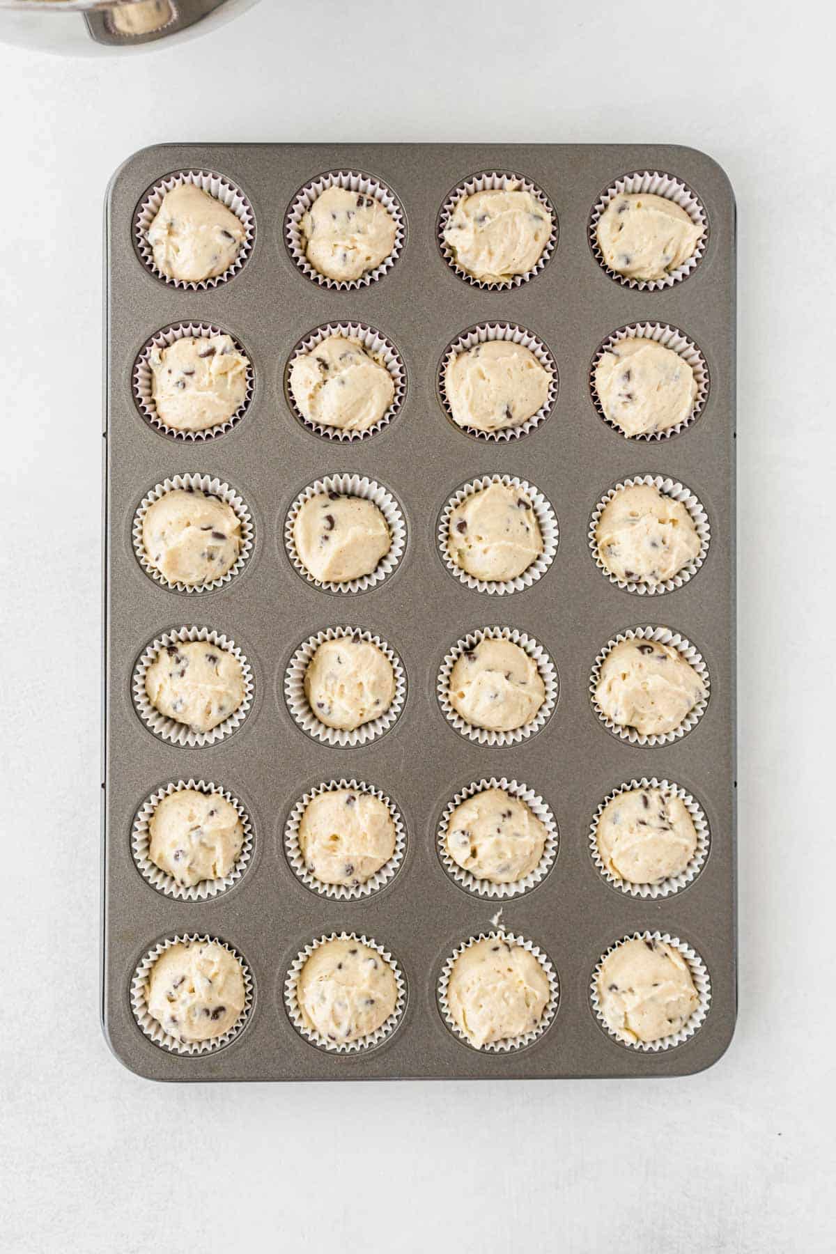 Chocolate chip muffins in a muffin tin.