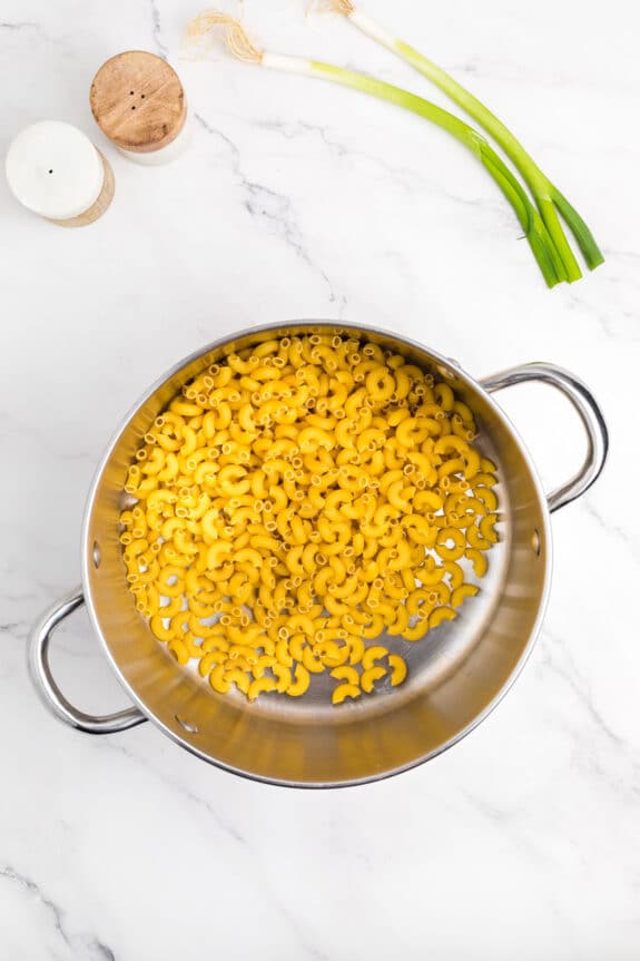 First step in making Hawaiian Macaroni Salad is to use a stainless steel pot and fill it with cooked elbow macaroni on a marble countertop, next to fresh green onions and salt and pepper shakers.