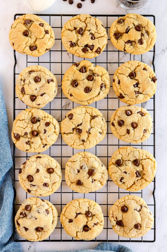 Sixteen chocolate chip cookies are cooling on a black wire rack, arranged in a grid pattern on a white surface.