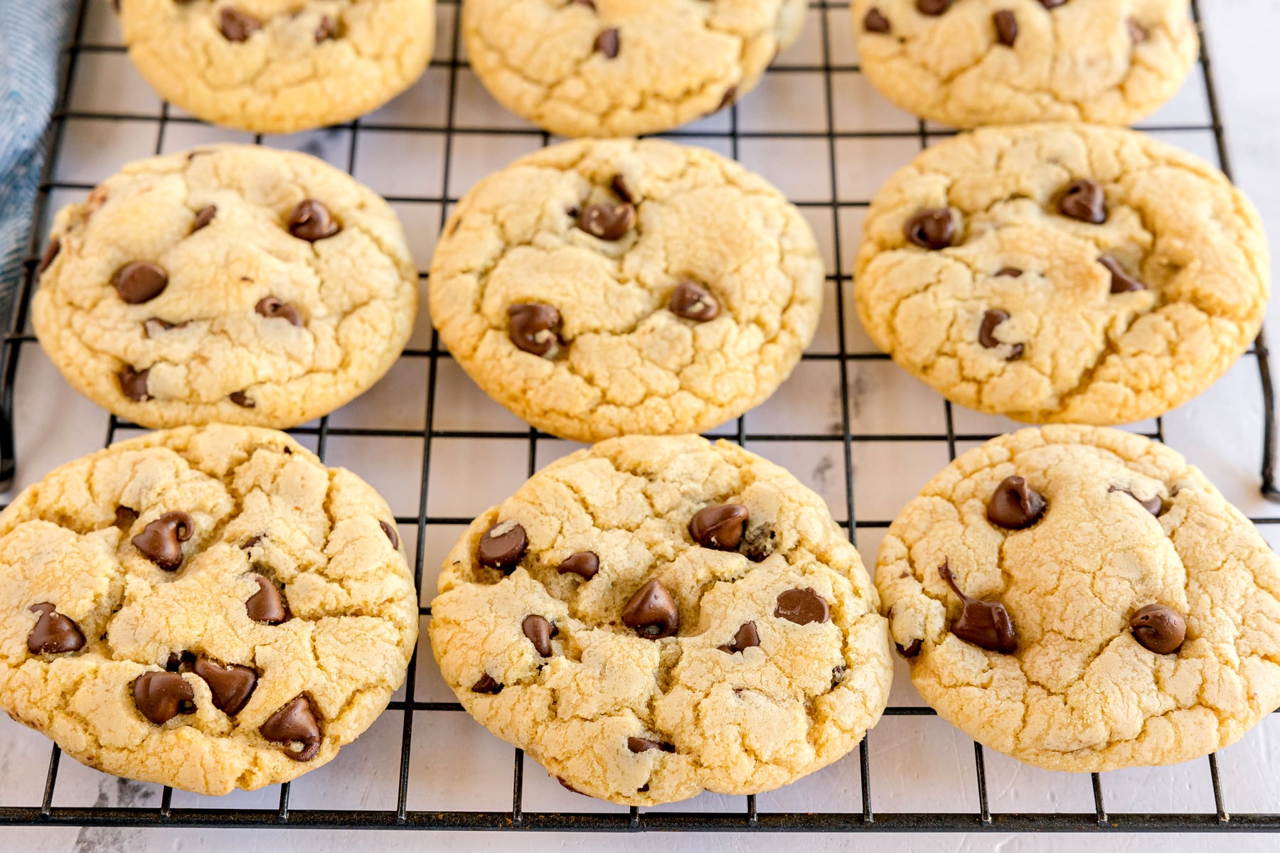 Nine chocolate chip cookies cooling on a black wire rack.