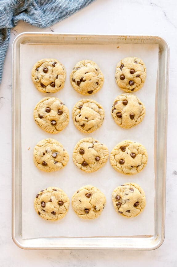 A baking sheet with twelve chocolate chip cookies on parchment paper, arranged in three rows of four, on a light-colored countertop.