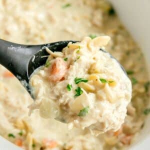 A close-up of a spoonful of creamy Slow Cooker Chicken and Noodles soup with carrots, garnished with chopped parsley.