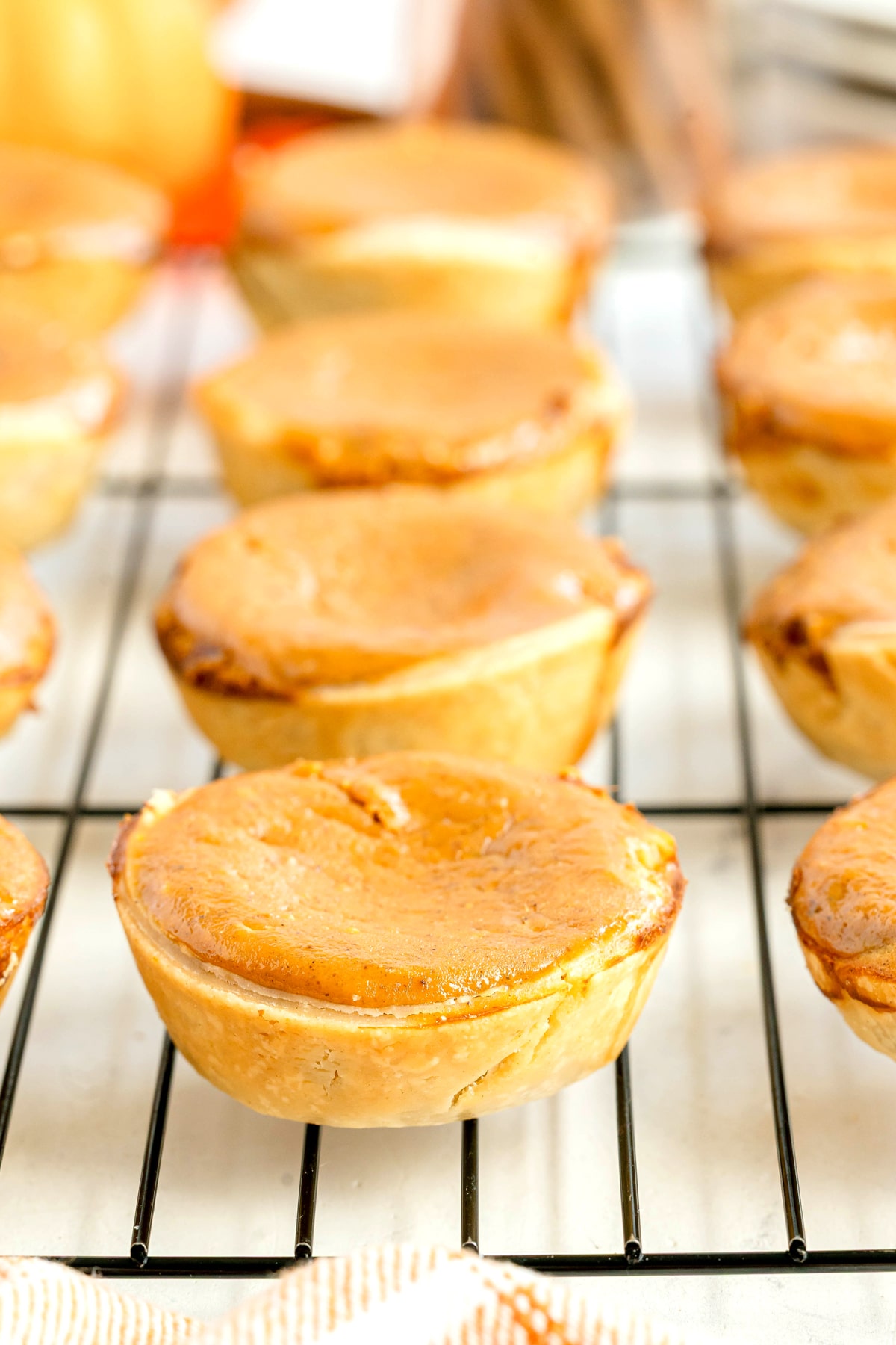Small Mini Pumpkin Pies cooling on a wire rack.