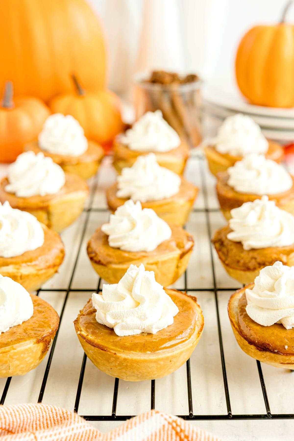 Mini Pumpkin Pies topped with whipped cream on a wire cooling rack, with pumpkins in the background.